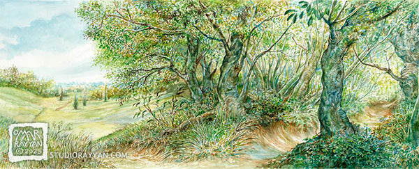 Print - Plains and Forest