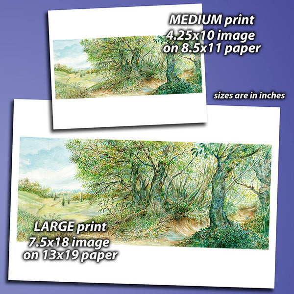 Print - Plains and Forest