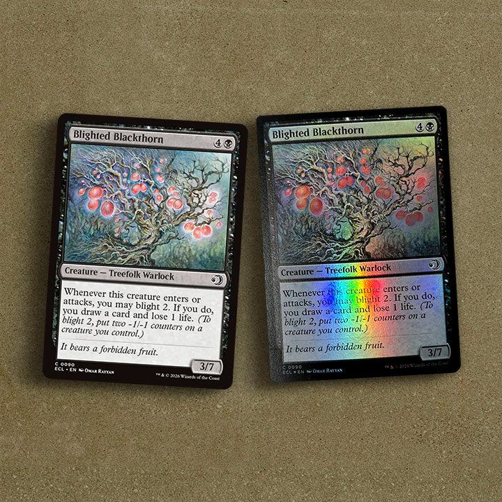 Artist Proof Cards – Studio Rayyan