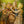 Print - Wood Elves