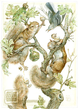 Print - Acorn Brandy
