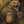 Print - Bear Amongst the Barrels