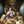 Print - Foo Dog Teatime