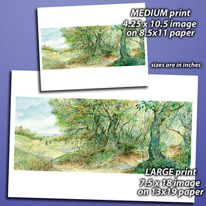 Print - Plains and Forest