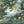 Print - Run Rabbit Run