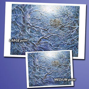 Print - Snow-Covered Forest