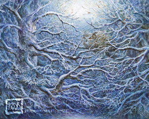 Print - Snow-Covered Forest